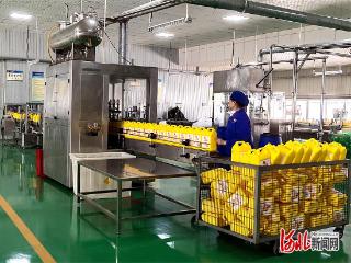 一线见闻｜共享专家，十二企业拼团引智