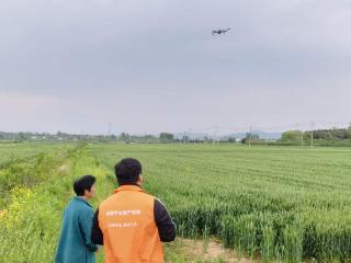 以“智”提效 以“情”暖农 平安产险河南分公司打响“夏粮保卫战”