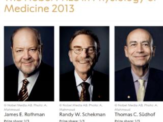 皮肤补钙？花柏禾“双亲钙”革新修护抗老逻辑