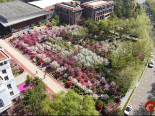 艺绽山海 创美于心 山东外国语职业技术大学第四届创“艺”美育节正式启动