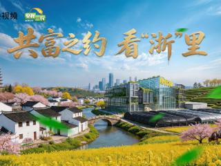 共富之约：浙江生动作答，解码共富密码