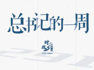 时政微周刊丨总书记的一周（4月13日—4月19日）