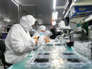 廊坊开发区：“税力量”赋能“小巨人”企业“显”身手