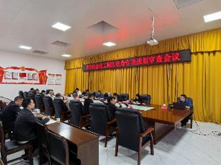 深耕一线强落地 电力护航千亿园