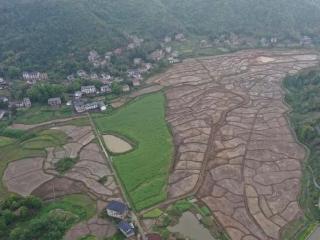 铅山县葛仙山镇：“土地流转+规模化经营”，推动“沉睡田”变“希望田”