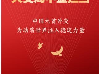 中国元首外交为动荡世界注入稳定力量