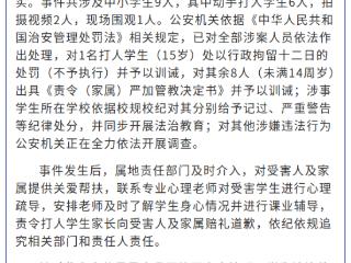 官方通报宁夏银川小学生拒借车遭群殴：9人被处理