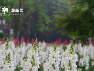 一秒换季！浙江多地降温超10℃，暴雨今夜上线