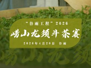 2026崂山龙须斗茶赛成功举办