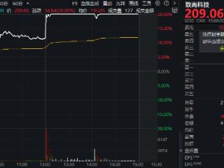 年内首只翻倍千亿股现身；致尚科技，3分钟“20CM”涨停