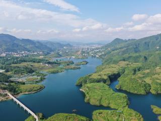 德江龙泉：一颗水果“链”出富民大产业