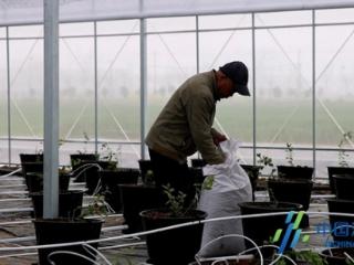 盐城响水：黄河故道上的“蓝海”突围记