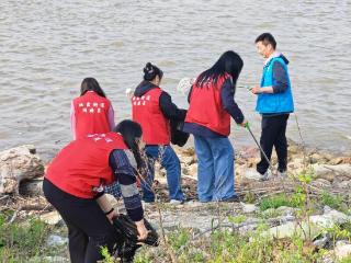 阅山社区：网格志愿齐上阵，岸线焕新展新颜