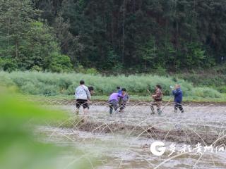 绥阳县清源村：集中育苗促春耕 村集体经济惠民生