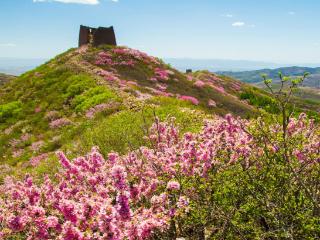 解锁崇礼四季惊喜⑤丨“五一"去崇礼干什么？这份攻略请收好
