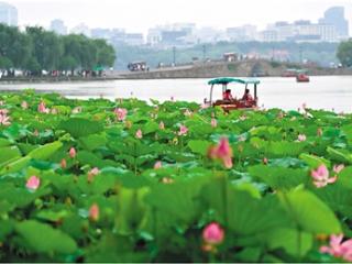 循绿而行 向美而兴 杭州生态文明之都建设的时代答卷