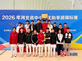 临西县在全省中小学生跆拳道锦标赛中创佳绩