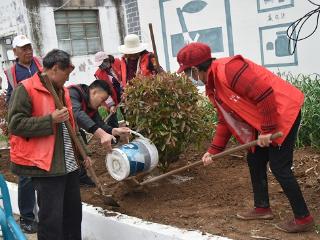 郯城县杨集镇：多措并举抓整治 环境提升齐发力