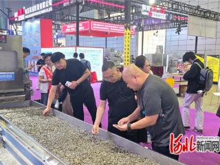 阳原杂粮亮相合肥炒货节 智能升级与渠道拓展双丰收
