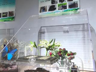 昆虫界“大力士”登场！长春市园林植物保护科普展览馆上新