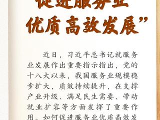 学习笔记丨“促进服务业优质高效发展”
