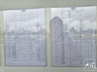 流浪狗“黄站长”被撞伤 宣城众多出租车司机捐款救治