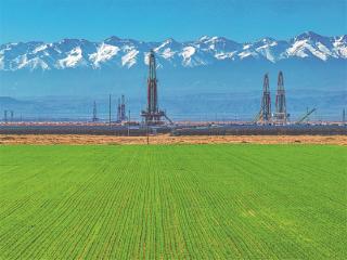 中国石油新疆油田：钻塔巍巍麦苗青