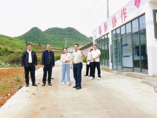 聚焦审计整改 “后半篇文章” 粤黔协作工作队广州工作组赴安顺督导东西部协作项目