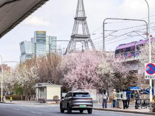罗浩拍吉林丨一路繁花 开往春天