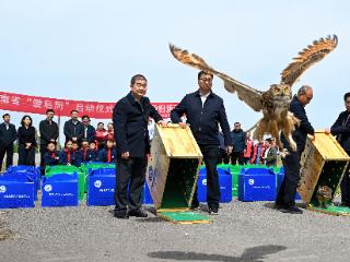 鸟类占到全国种数的1/3！河南启动第45届“爱鸟周”宣传活动