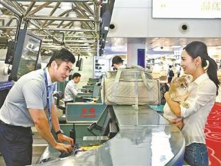 厦航推出宠物进客舱服务 涉及270余条航线