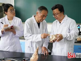 古生物界的寻“龙”人——记河北省科学技术突出贡献奖获得者、河北地质大学终身特聘教授季强