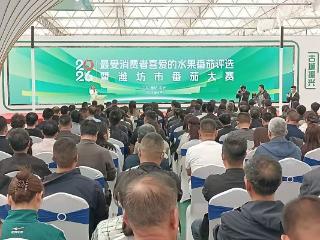 2026最受消费者喜爱的水果番茄评选暨潍坊市番茄大赛颁奖