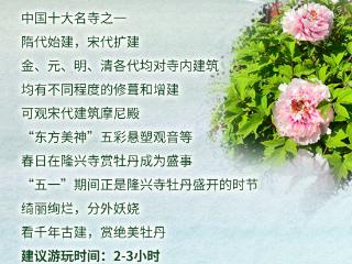 六朝花事 春藏河北老街 | 穿越多朝的春风，邂逅满城花开