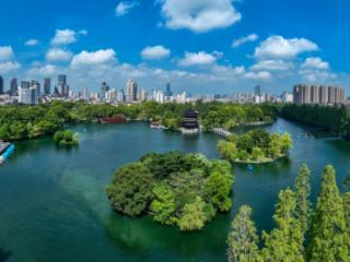 新势力集结！庐阳文旅再添动能