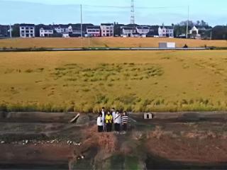 逐梦田园兴乡村：翁玲宝在“三扶两创”中破茧成蝶