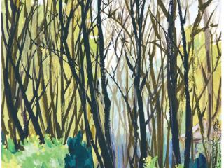 迎泽公园的春秋