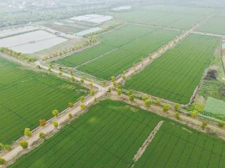 科技“智”控 麦田守望好收成