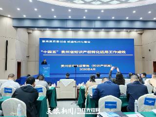 贵州发布“十四五”期间知识产权转化运用工作成效