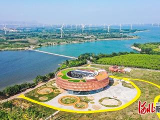 推进京津冀协同发展丨瓣瓣同心绘新图