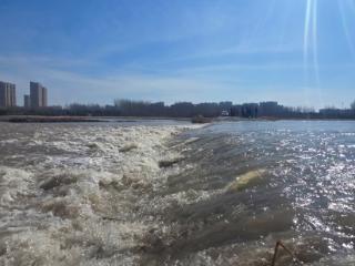 断流27年西辽河第二年全线通水！一条河的复苏：生命生态的和鸣