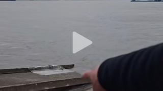 七旬女泳者长江遇险，三名路过老人协同施救，施救者之一69岁律师发声