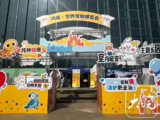 芜湖迎来两场宠业盛会，展会同驱链接国际宠业资源