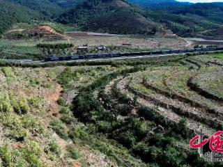 钢铁丝路·情牵中老｜当中老铁路遇见亚洲象 这群年轻人写下最美答案