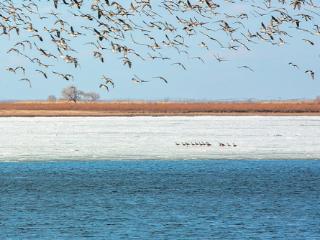 履职第一课，他们学到了什么