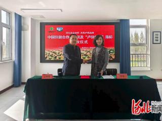 卢龙县：深化社企合作 共筑卢供品牌