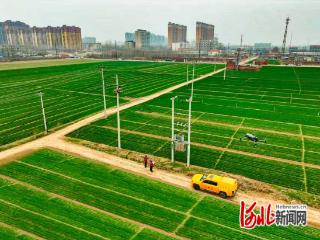 国网无极县供电公司：“满格电”助春耕无忧