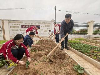 济南市莱芜第一中学初中部（鲁矿中学）：躬耕沃土种青瓜 劳动实践促成长