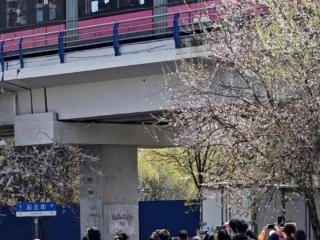 刷爆全网的“长春开往春天的列车” ，是谁最先发现的这处美景？