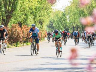 车轮丈量生态之美，“体育+”激活全域消费新热潮——2026“体彩杯”环莱西湖自行车赛暨捷力100超级联赛青岛站开赛